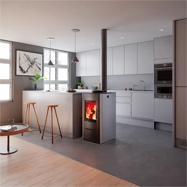 HAAS+SOHN Kaminofen ELLMAU COOK EASY